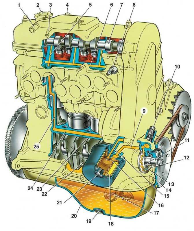 Из чего состоит двигатель ваз-2115 - излагаем по пунктам