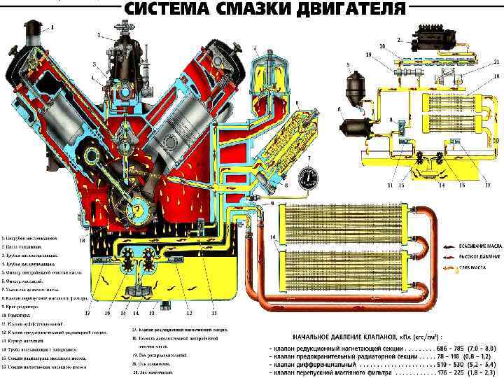 Система охлаждения и система смазки двигателя ямз-238