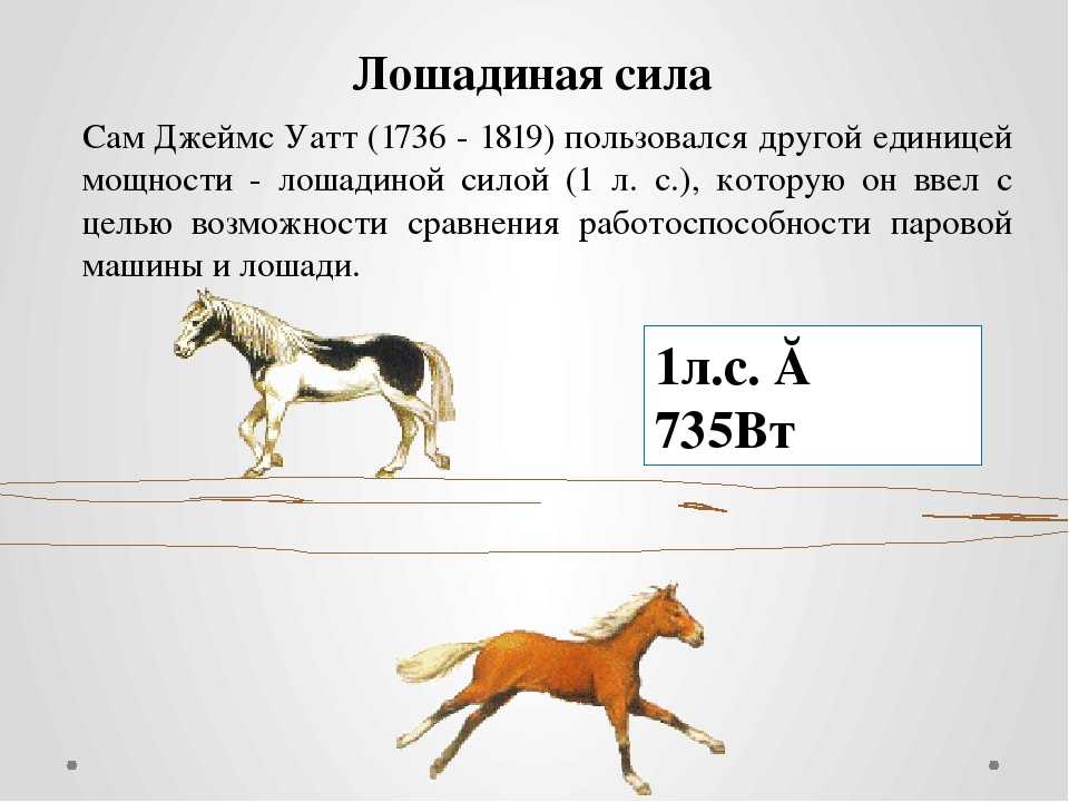 Насколько л. Сила лошади в лошадиных силах. Метрическая Лошадиная сила. Мощность лошади в лошадиных силах. 1 Лошадиная сила в лошадях.