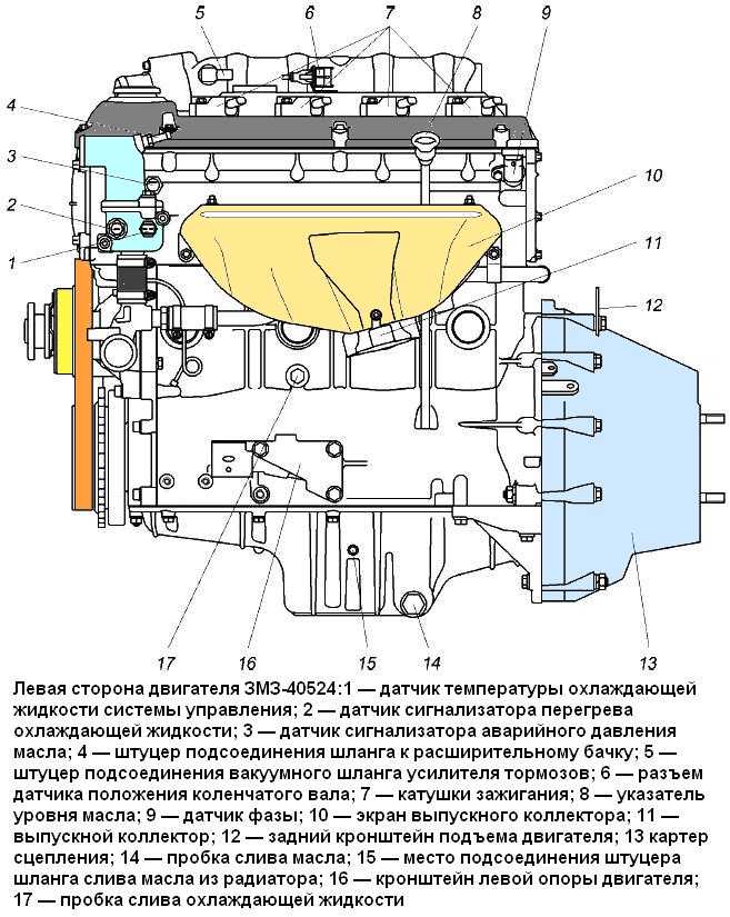 Как правильно расположить патрубки на газели двигатель 405
