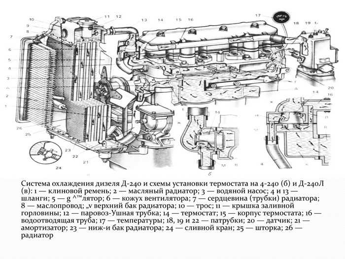Руководство по ремонту двигателя мтз 240