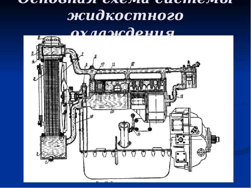 Охлаждения двигателя д-240 трактора мтз-80,82