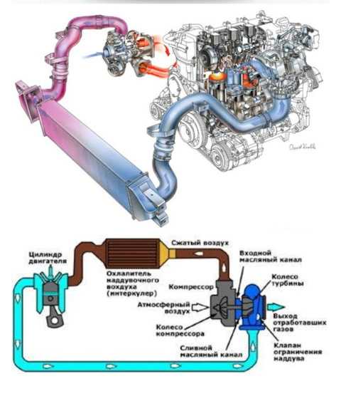 Как проверить турбину на дизельном двигателе: домашняя диагностика