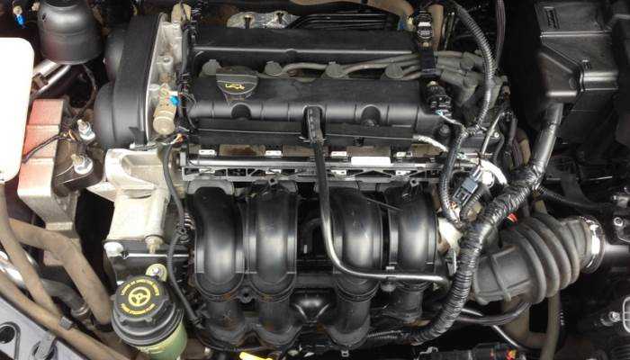 Технические характеристики двигателя ford qqdb | auto-gl.ru