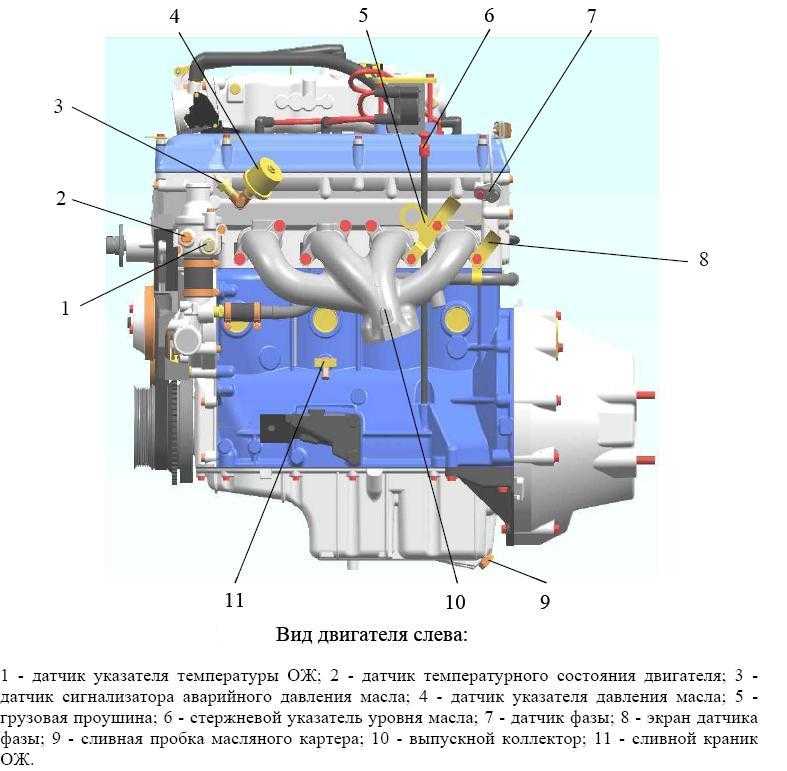 Сколько датчиков. Расположение датчиков Газель. УМЗ 4216 высокое давление в системе охлаждения.